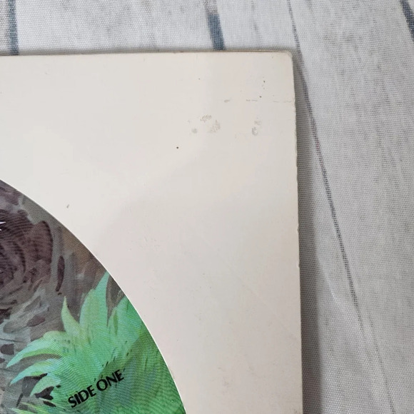 Vintage 1981 Walt Disney The Fox and the Hound Pictire Disc Vinyl Record - Picture 14 of 15